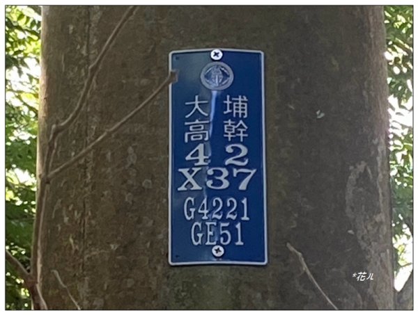 土地公坑山 新路線 (彰化、花壇)3070353