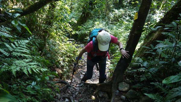 松蘿湖單攻登山健行趣（步道）1522176