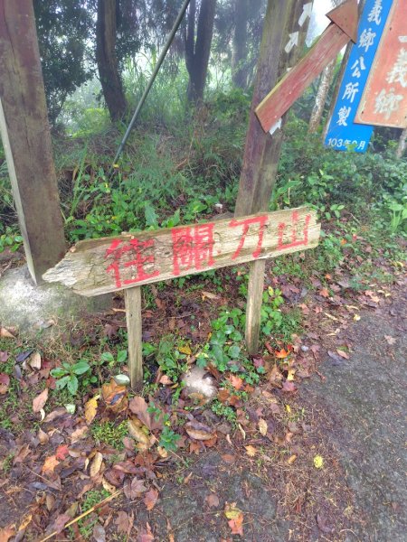 苗栗關刀山2975067