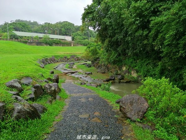 【台北。內湖】翻翻舊照來回味。 親水綠地散散步。大溝溪溪畔步道1412314