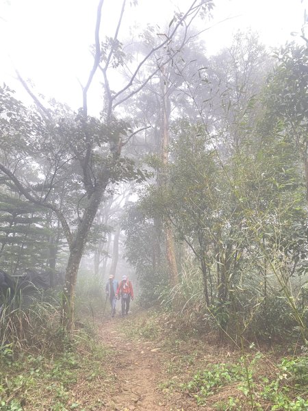 三義銅鑼基石巡禮—大椼茂.大坑尾.竹圍.長潭坑.田洋.圓潭.虎頭崁.簡窩筧.大薰山 2024.3.72447802