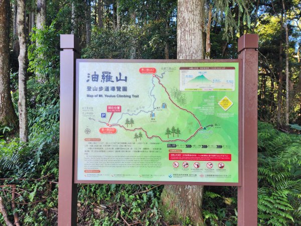 新竹橫山｜油羅山3076792