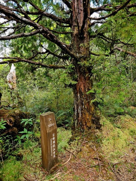 翠峰湖環山步道-(宜蘭)臺灣百大必訪步道2827558