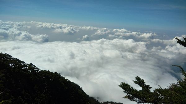 北大武山賞雲海,夕陽,鐵杉大武祠和神木197300