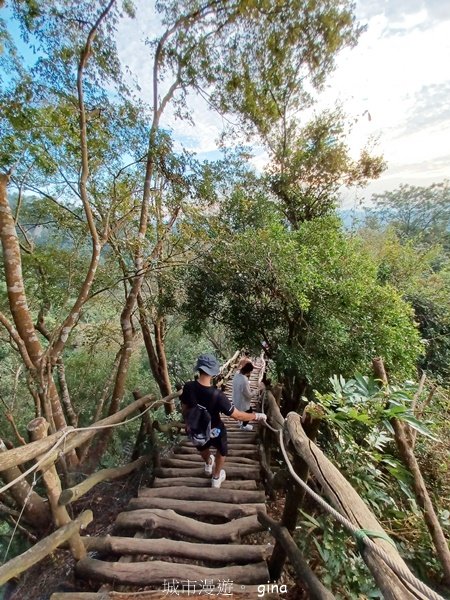 【台中北屯】第一次遇上大坑步道群起霧。 大坑三號步道2695145