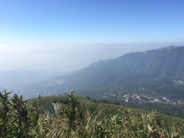 毛孩米奶登山去-七星山主峰、東峰737960