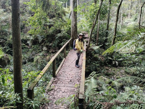 向天湖三山+ 南大龜山3012334