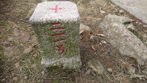 樟湖山、後棟仔山、大尖山、二尖山4山連走1336990