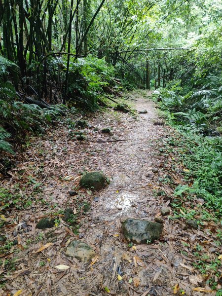 微笑山線：【五分山系】菁桐煤礦段、平溪小黃山段、望古瀑布段2841287