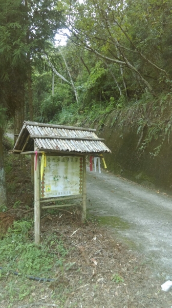 20151101五峰鄉鬼澤山,谷燕瀑布27828