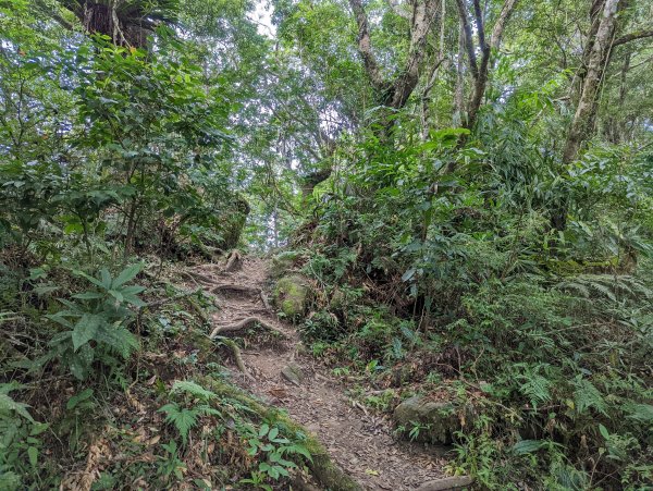 【百大必訪步道—台東】都蘭山步道(小百岳#93)1526225