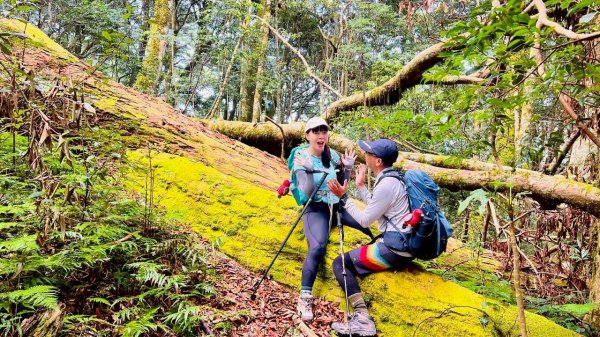 🌈9/7（日）夫拉縱走（夫婦山縱走拉拉山）✨FB：熊熊趴爬走🌈2880926