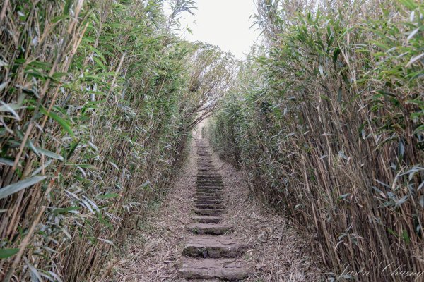 [台北]大屯山2693391