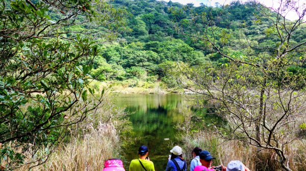 向天蝦不蝦2936816