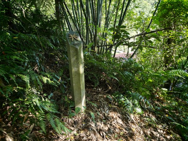 [淡蘭古道] 2026_0614 南路第二段_倒照湖山步道3096918