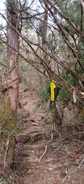 2025 3/1 三星山2723854