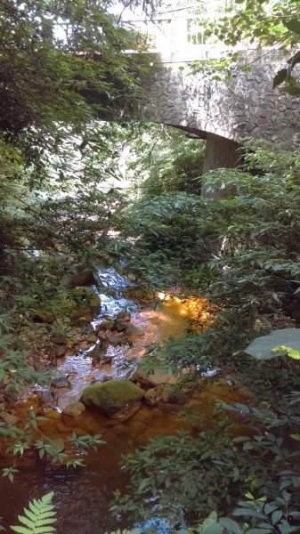 半嶺步道→陽峰古道→陽明公園→前山公園1028467