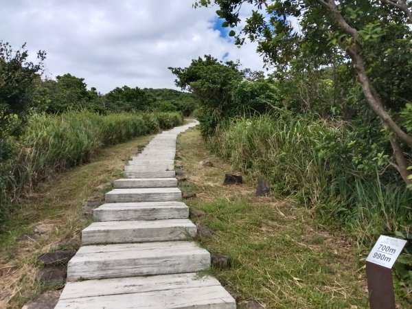 瑞芳區南子吝山+南子吝山稜(黃金七稜)+保羅尖8字走2873677