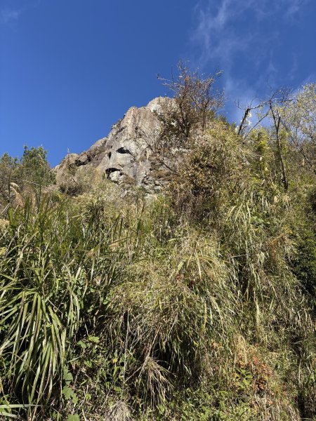 20251225塔山步道(大塔山)2970399