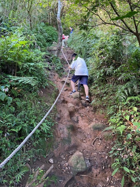 20230622 陽明山 二子坪步道 -> 大屯山主峰連峰步道2387652