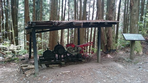 20170514榛山登山步道1624952