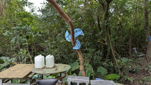 114.12.20劉銘傳隧道-獅球嶺北峰-獅球嶺東砲台山-獅球嶺池-獅球嶺砲台山之旅2966728