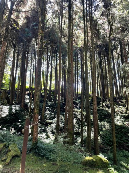 小百岳(59)-大塔山-202209251878710