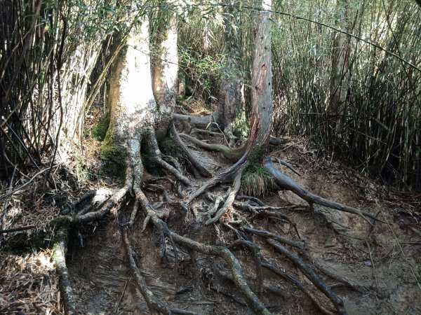 合歡西峰單攻1216982