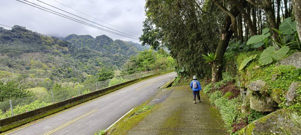 2025/03/16_蓬萊溪護魚步道+萊園坪山2737583