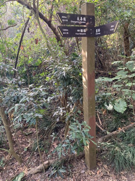 20260221高雄壽山+愛河灣3003357