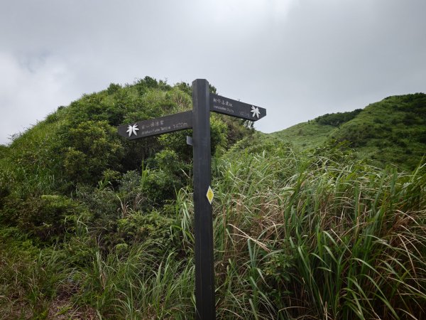 [淡蘭古道] 2026_0531 北路第一段_燦光寮古道(中)-陡坡3070894