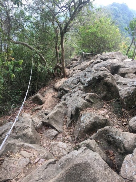 龍麟山步道518950