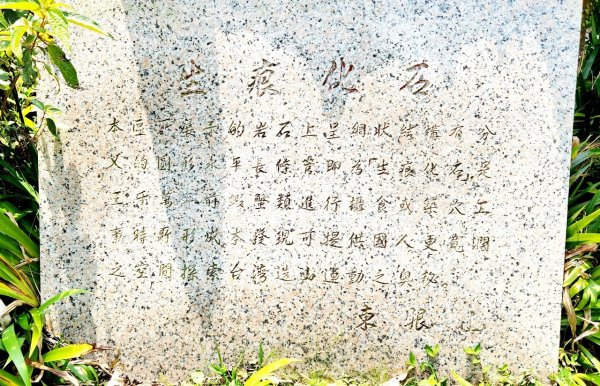 【中級山縱走】志繼山，東眼山，拉卡山，卡外山，東滿步道2742600