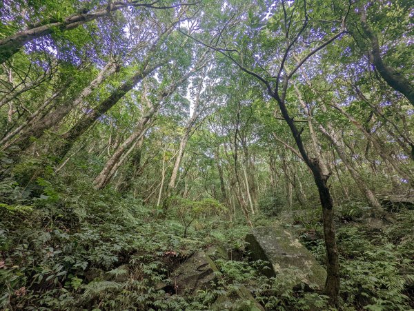 【百大必訪步道】東滿步道1520752