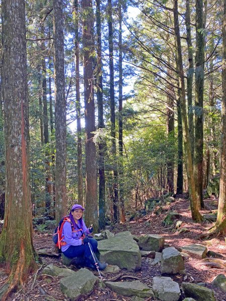 鳶嘴稍來神木、稍來山O型走20209151102472