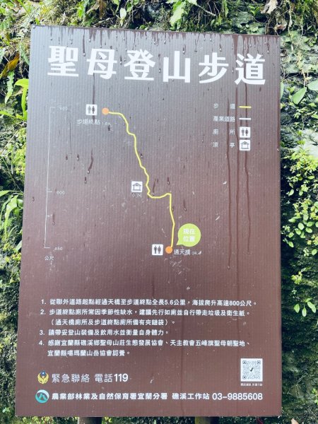 20250329 抹茶山-聖母登山步道2758936
