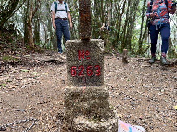 新北 塔曼山2832091