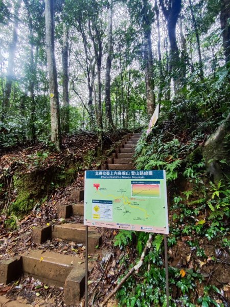 北得拉曼神木群連走內鳥嘴山2940201