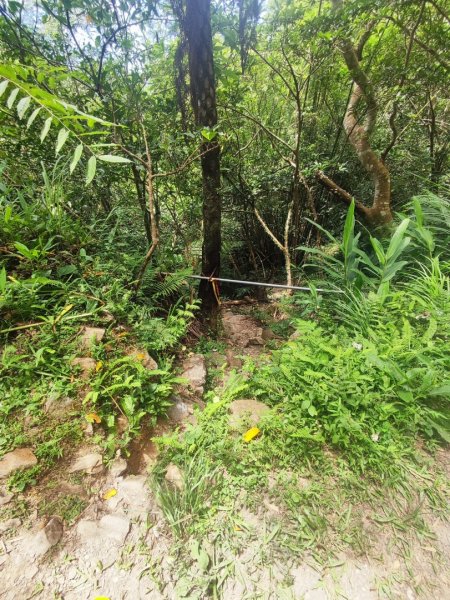 礁溪車站-跑馬古道-迴音谷瀑布-鵲子山2826636