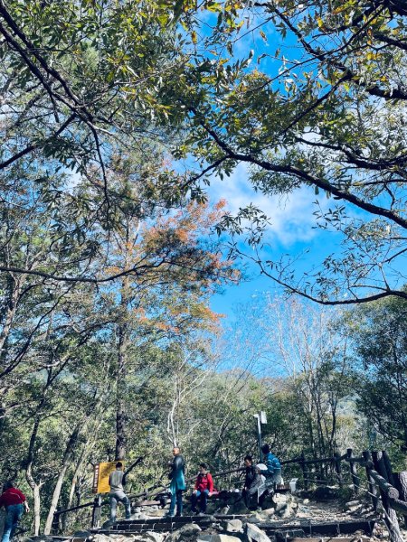 20241230 台中谷關捎來步道2739175