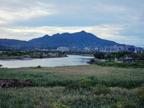 2025臺北大縱走第八段：捷運動物園站至捷運關渡站[河濱自行車道]2924047