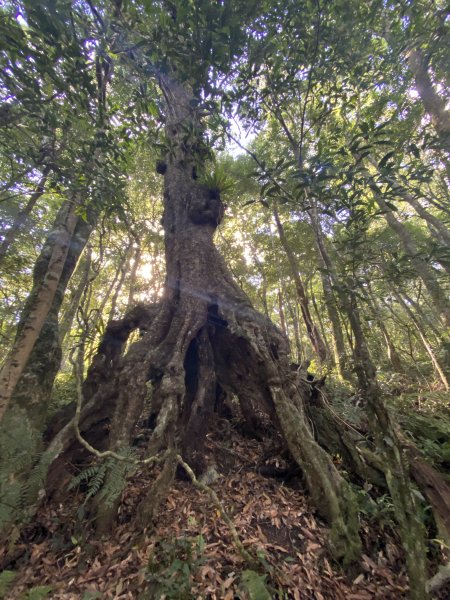 2025.6.28 煤源上李崠山經八五山 O型2824303