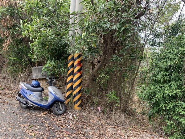 20250531屏東武潭(新厝山)2803206