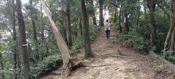 2024/05/10-仙山登山步道2502674