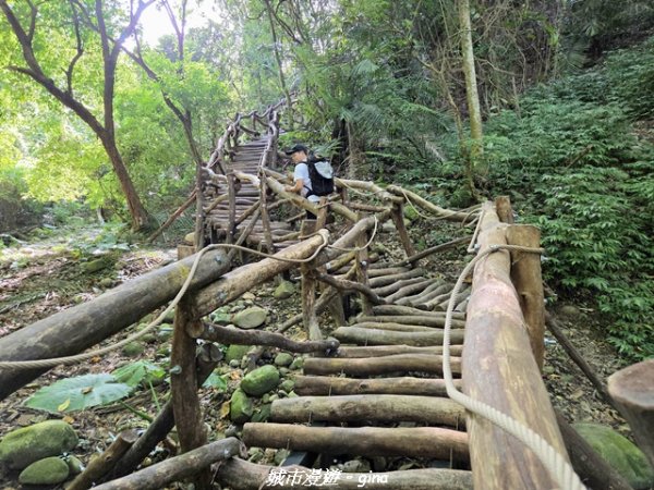 【台中北屯】大坑1號步道3095056