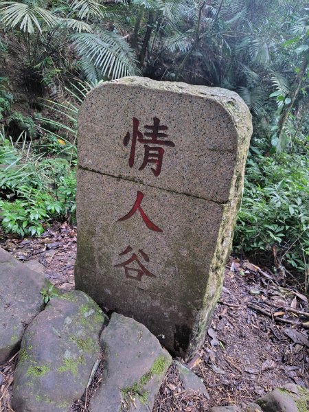 鳳鳴古道 鳳鳴山 南隘勇（南長城）古道 三湖山 八達嶺（龍骨）古道 綠色古道 延平古道2975200
