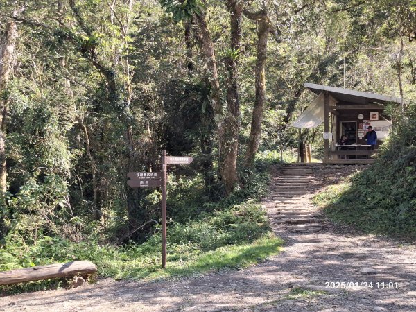 2025.01.24~26 北大武山 三天兩夜〈雲海、夕陽、檜木、鐵杉、藍天...〉2700321