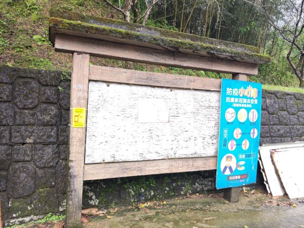 微笑山線：【五分山系】菁桐煤礦段2954732