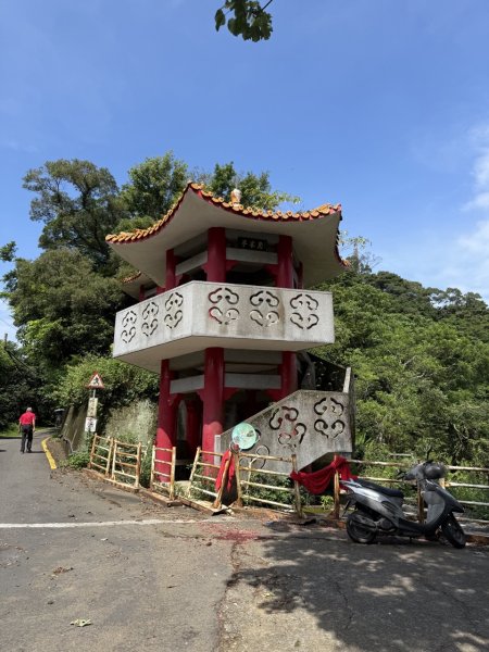 2025/06/26 鳶山 鳶山彩壁 鳶尾山3038669