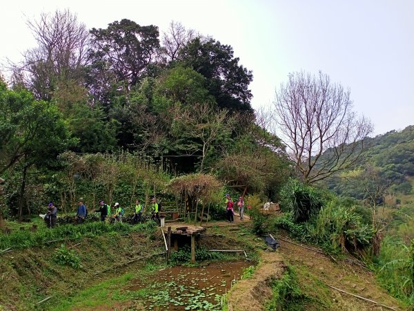 陽春三月暢遊風尾步道→十八份水圳步道→陽峰古道→陽明公園→湖山綠地→橫嶺古道→半嶺步道→猴洞→天母2047577